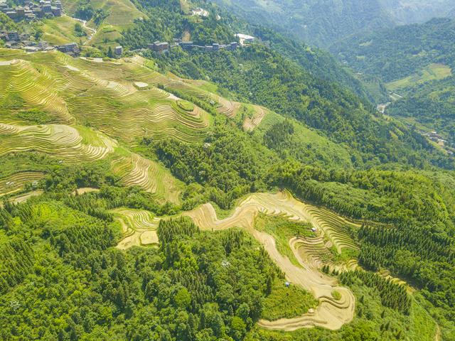 绿维文旅：乡村旅游发展八种模式（政策支持+开发要点）